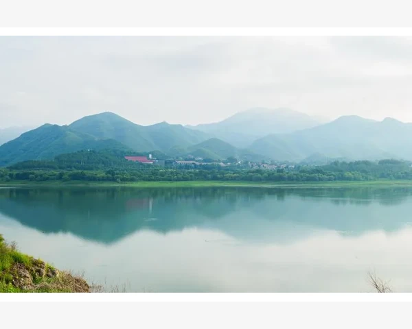 中成药中哪些适合补气补血